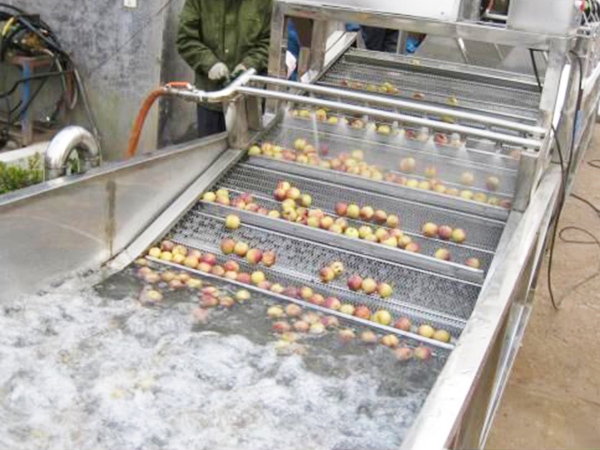 Apple cleaning line (cleaning part)